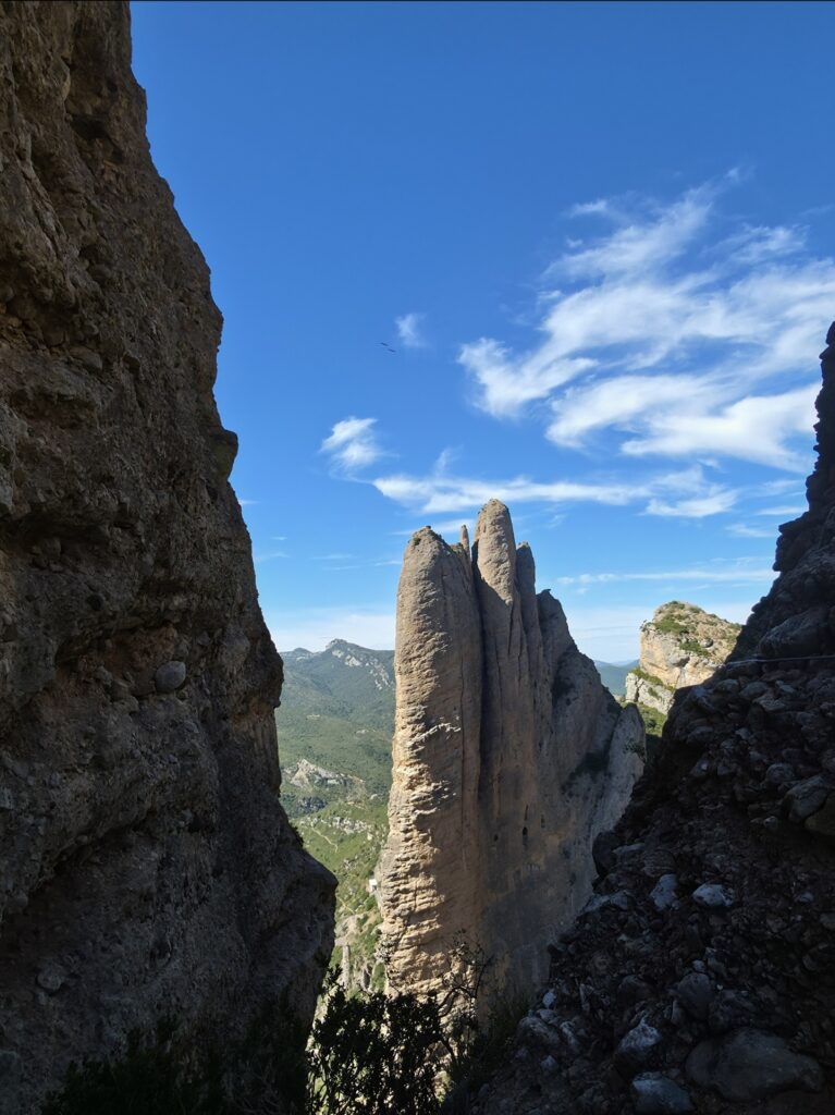 riglos